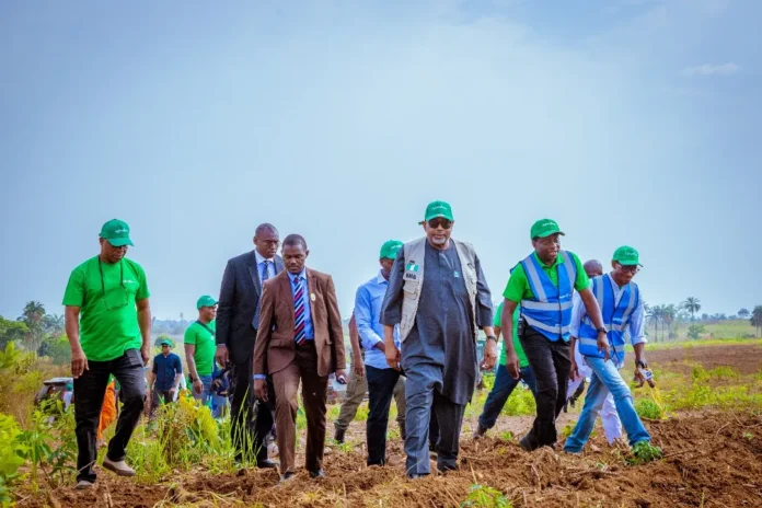 Agbeyewa Farms Ekiti