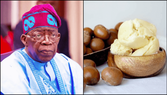 Nigerian Shea Industry