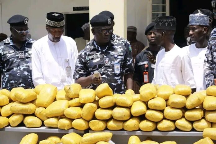 Bauchi cannabis seizure