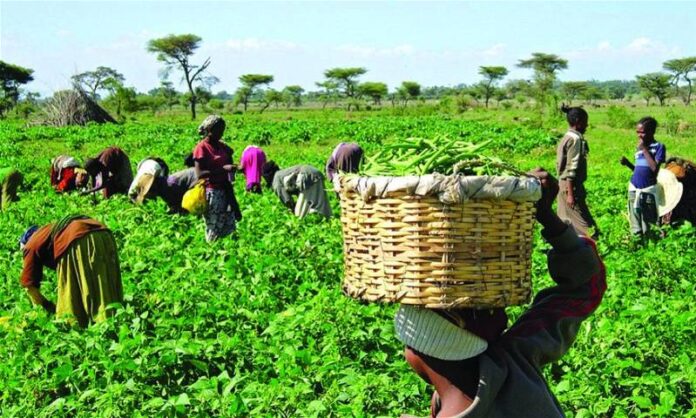 Presidential Fertilizer Initiative concerns