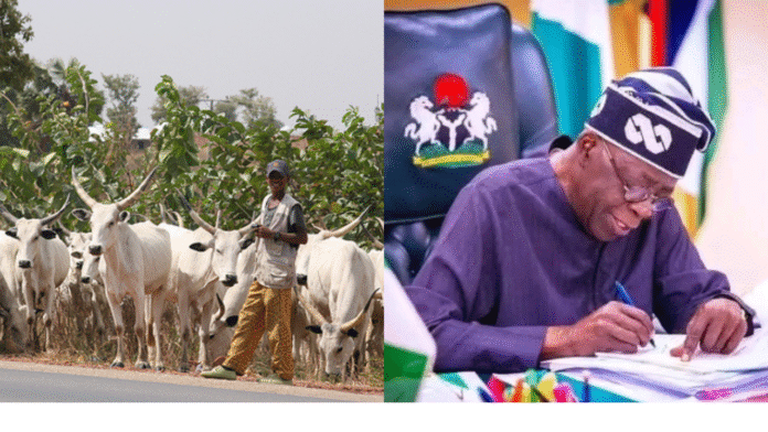 Tinubu herders policy calls