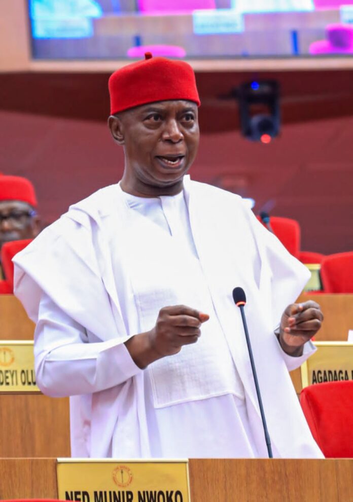 Ned Nwoko